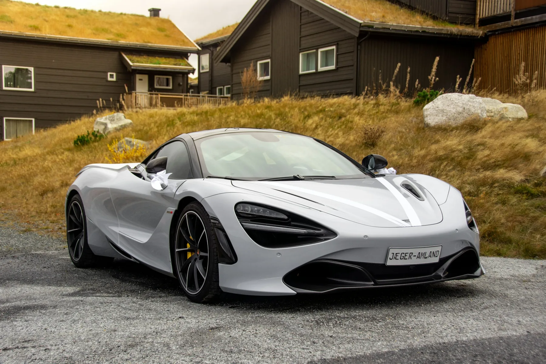 Clean silver sports coupe with subtle wedding ribbons, parked outdoors.